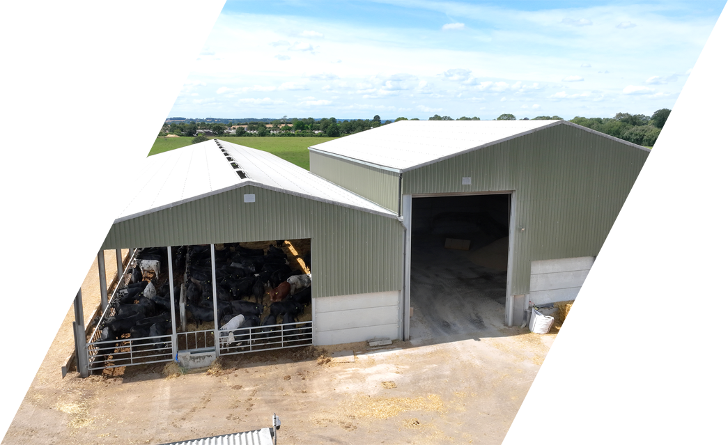 Livestock steel frame buildings