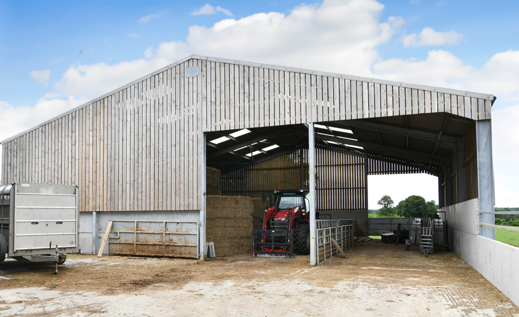 Steel frame cattle shed