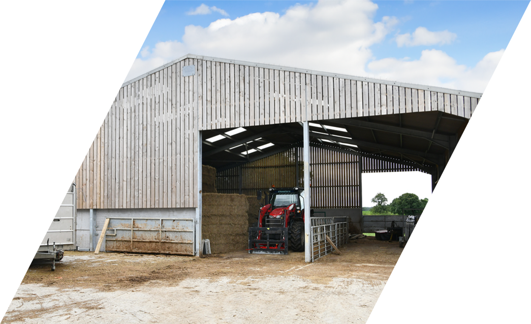 Steel frame cattle shed