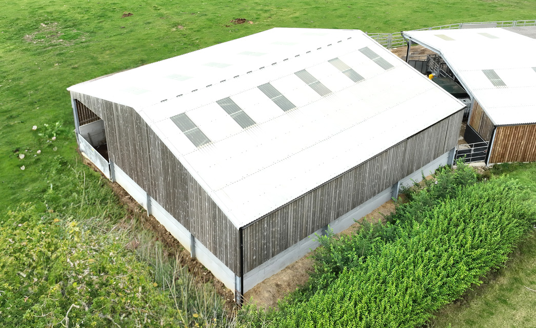 Steel frame cattle sheds