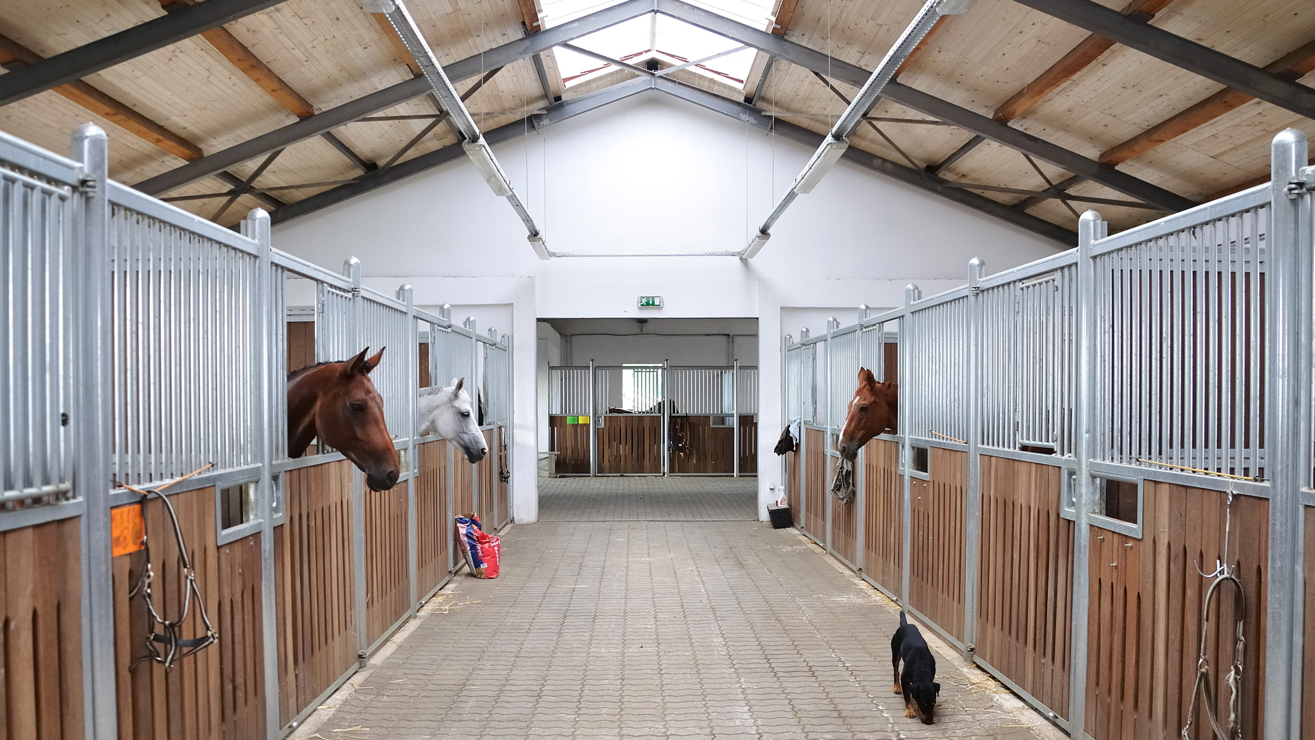 Steel frame equestrian buildings uk